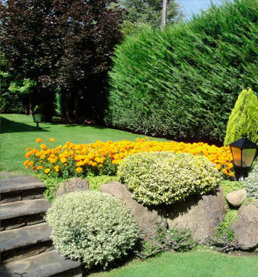 Manteniment de jardins