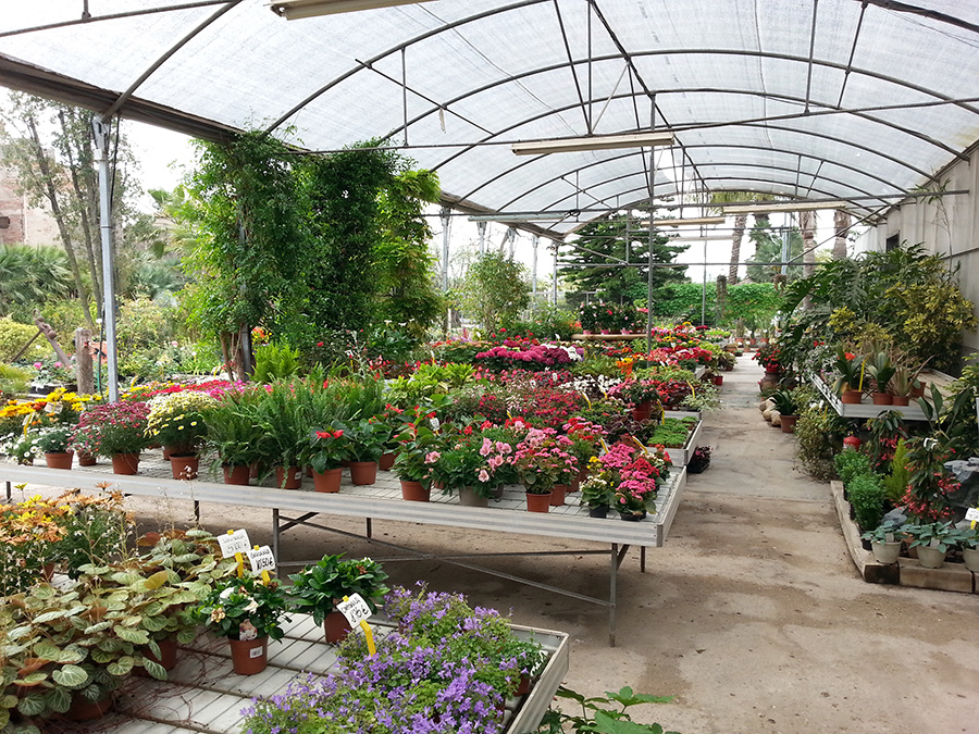 Garden1