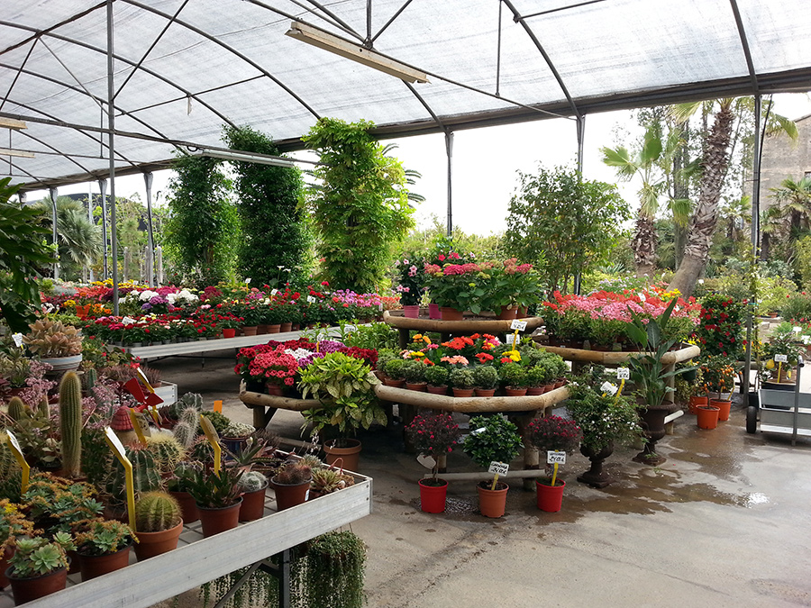 Garden14