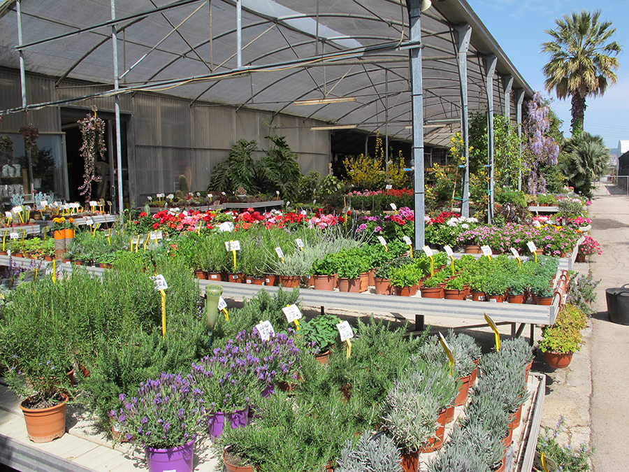 Garden5