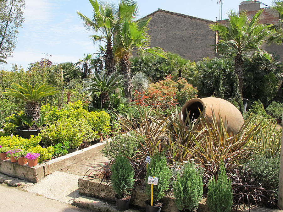 Garden6
