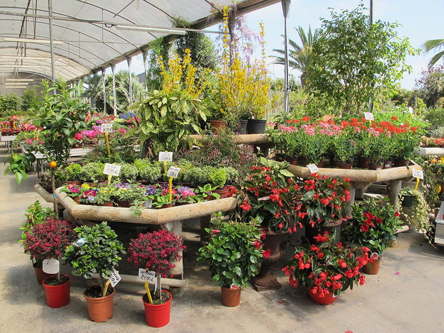 Garden9
