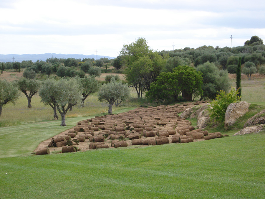 Gespa natural