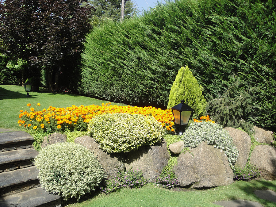 Manteniment de Jardins