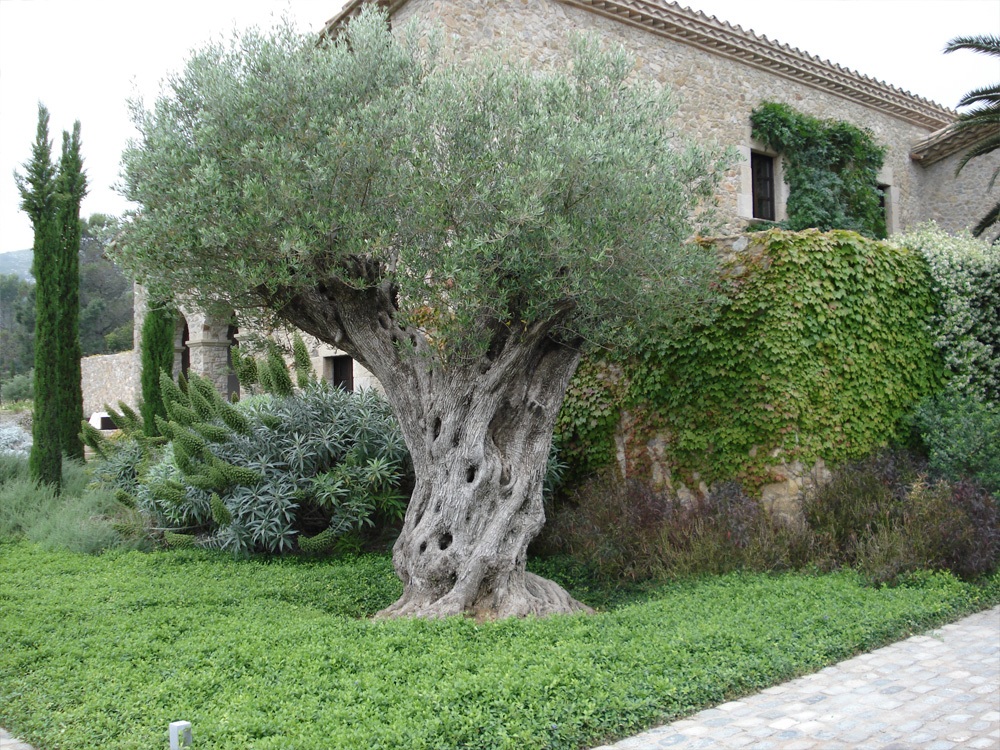 Jardins